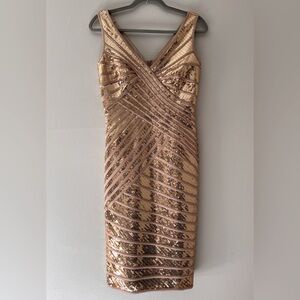 Tadashi Shoji Cocktail Dress